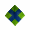 Papagaio Anto.Zeze 38x38 - 17085 (7)