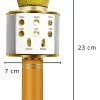 Microfone karoke - 31359 (7)