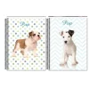 Caderno uni 1x1 96f pup - 16860 (1)
