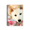 Caderno uni 1x1 96f pup - 16860 (3)