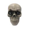 Crânio Caveira Decorativa Halloween Cabeça Esqueleto Decorar - 1