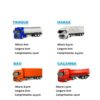Cegonheira petroleum com 4 - 30269 (10)