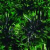 Festão verde 11x2cm - 17662 (1)